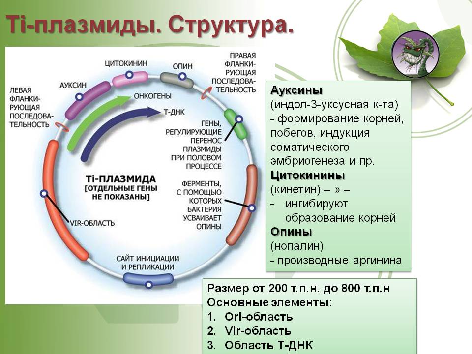 Как восстановить аккаунт в кракен